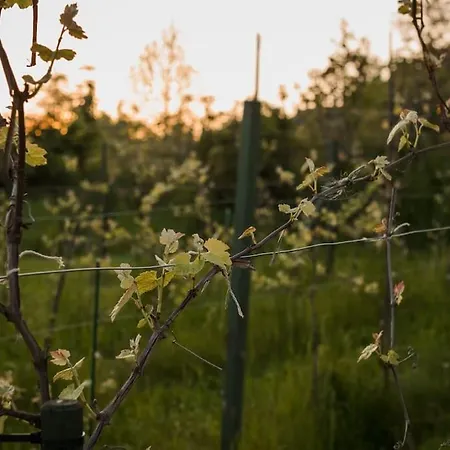 Domek alpejski Na Górniej łące - Słowik Lazany