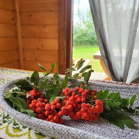 Na Gorniej Lace - Slowik Σαλέ *
