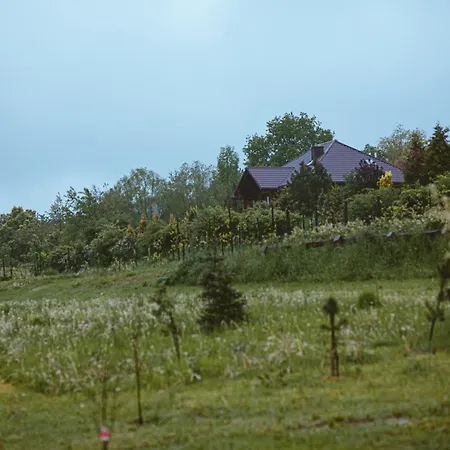Chalet Na Gorniej Lace - Slowik *