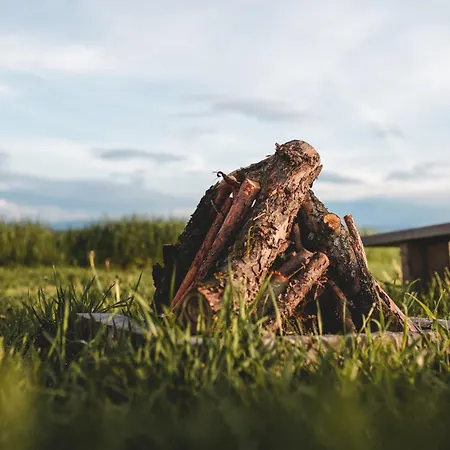 Na Górniej łące - Słowik Lazany