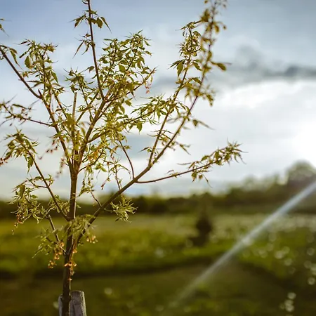 Domek alpejski Na Górniej łące - Słowik Lazany